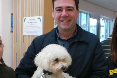 Burnham’s rescue dog won’t be joining Larry the cat at Downing Street