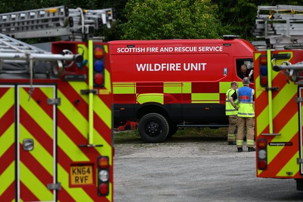 Emergency services have all resources necessary for Cairngorms wildfires – Gray