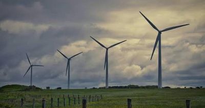 Survey finds huge majority of Borders locals oppose massive windfarm development