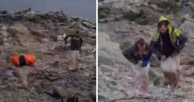 'Disturbing' video of men 'almost trampling' baby birds prompts watchdog action
