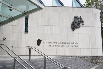 Lack of engagement from IS supporter who stabbed garda ‘disappointing’ – judge