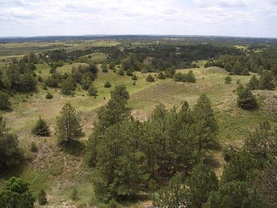 In 1903, Nebraska began planting a 20,000-acre forest across prairie grassland; today, officials use prescribed burns to keep trees from spreading