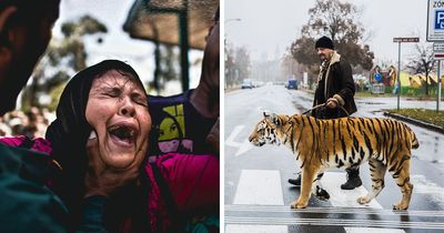 I Thought The World’s Hardest Stories Were In War Zones, Until I Became A Father (24 Pics)