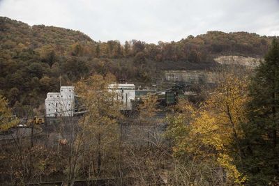 Since 2004, Green Forests Work has helped plant millions of native trees on former Appalachian coal mines, restoring compacted industrial land toward forest