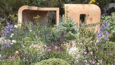 How to Make Your Late Summer Garden Look Fuller Without Planting Anything New – 7 Designer Tricks