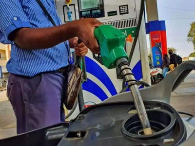 Govt says no assessment of share of vehicles compatible with E20 petrol