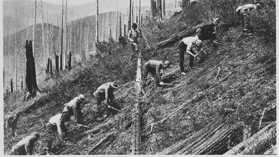 In 1933, America created Roosevelt’s “Tree Army”; nine years later, more than three million men had planted billions of trees and helped build hundreds of state parks