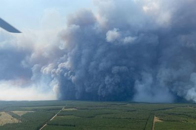 Bordeaux wildfires: Aerial footage shows blazes raging near French city