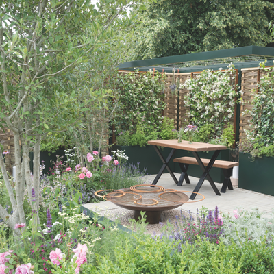 Lemonading is the positivity-focused trend taking over gardens this summer – it’s perfect for creating resilient gardens that look good all year round