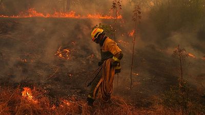 Spain wildfires leave destruction across Ávila province
