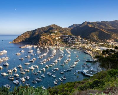 California man rescued alive after 30 days stranded at sea with broken mast