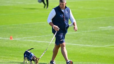 Mike Vrabel Bringing a Dog to a Press Conference Led to Very Dumb Takes