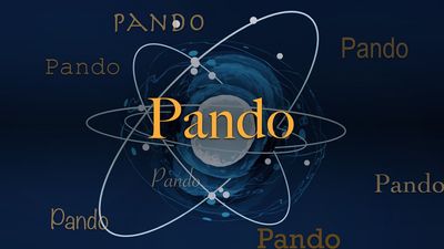 Science word of the day: Pando