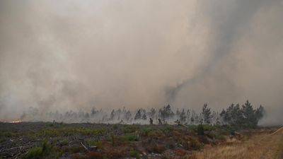 Wildfires: The ominous 'fire clouds' or 'pyrocumulonimbus' seen in France for the first time