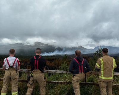 Swathes of Cairngorms unrecognisable after 12 days of ‘cataclysmic’ wildfires