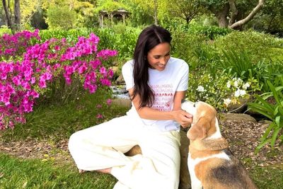 MasterChef Australia Under Fire as Furious Fans Claim Meghan Markle Has 'No Business' Judging Food