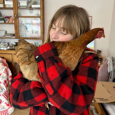 We moved to the countryside with three pets – now we've lost count