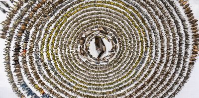 Bird-safe glass must become the norm to prevent collisions with buildings