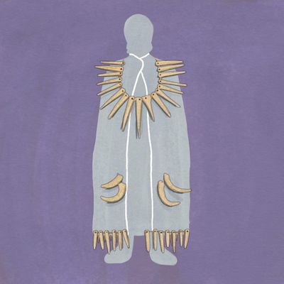The Guardian view on ancient DNA: a female shaman exposes our flawed assumptions about the past