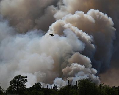 The Guardian view on Europe’s wildfires: politics must catch up with the new reality