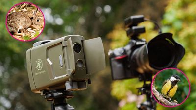 I tried a world renowned photographer’s award-winning camera traps — and captured my best garden wildlife photos yet