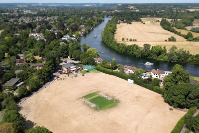 In pictures: How baking hot summer has turned London and commuter belt's lush green parks yellow