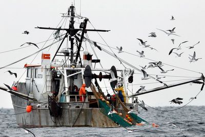 NOAA report finds Gulf of Maine warming slowed for now, but ecosystem remains unstable