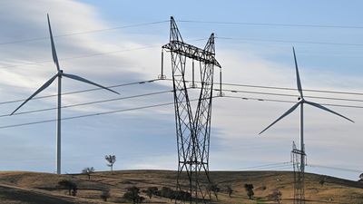 Half-price power: record renewables push prices down