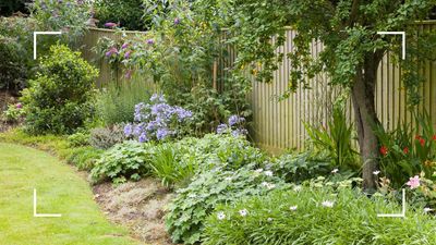 Too hot to water your garden? This clever set-up does it for you