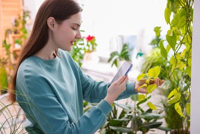 Can AI Plant Apps Diagnose Garden Problems Accurately?