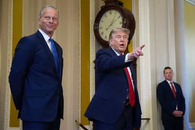 John Thune leads Republican revolt over Trump demanding Senate cancel summer break for him