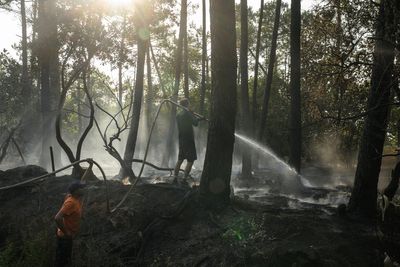 People evacuating their homes in Bordeaux as French wildfires force 220,000 to flee: ‘The air is unbreathable’