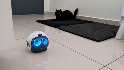 EBO Max review: The AI-powered family robot that gets smarter over time (and my cat adores)