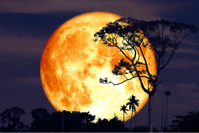 Full Buck Moon Rising: When To See July's Showpiece In The Night Sky – And What Legend Says It Does To Us