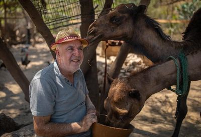 A dog saved Houssein Hamze from a bomb. When war returned, he stayed to care for Lebanon’s animals