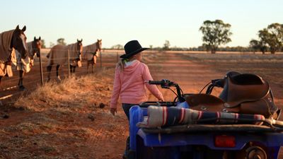 AI to help carry the load for women on the land