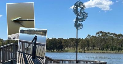 'Deliberately damaged': public art sculpture targeted, police investigating
