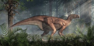 How do we know what dinosaurs looked like?