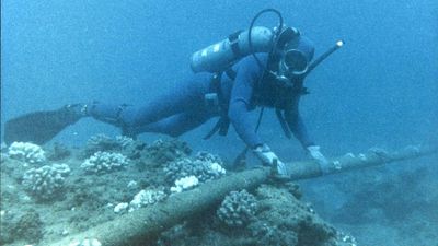Can you really rent out the sea bed? Oregon set to start charging service providers for undersea cables within three miles of its coastline