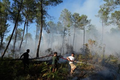Firefighters in France hold back vast wildfire as heat returns to test their grip