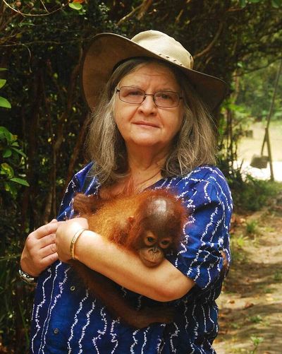 In 1971, Biruté Galdikas entered Borneo’s rainforest to study orangutans; more than 50 years later, her foundation has helped return over 1,000 to the wild