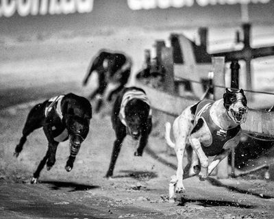 Underdogs by Louise Powell review – a powerful debut with plenty of northern soul