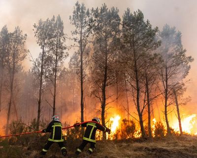 ‘Ash fell from the sky’: Tourists describe fleeing ‘apocalyptic’ wildfires in France