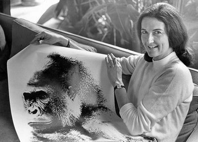 In 1967, Dian Fossey built a camp among Rwanda's gorillas and spent almost 18 years there; the population she fought for now exceeds 1,000