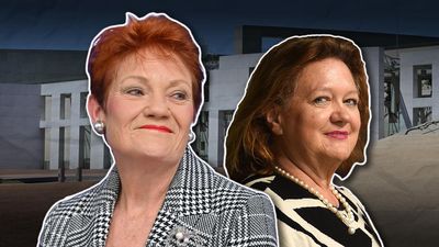 Gina Rinehart paid for Pauline Hanson's Europe flights