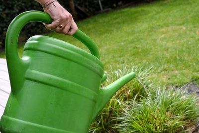 Gardening experts share 10 ways to save your plants during a hosepipe ban