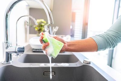 How kitchen sponges could be home to harmful germs and bacteria
