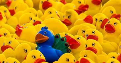 “Can You Spot The Imposter?”: Beat All 19 General Knowledge Challenges In This Quiz