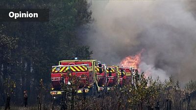 Heat, drought, fire: Europe needs to restore wetlands, rivers and landscapes