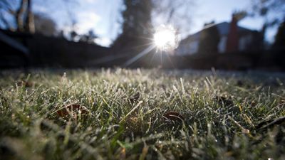 Should You Stop Mowing Dormant Grass During a Dry Spell?